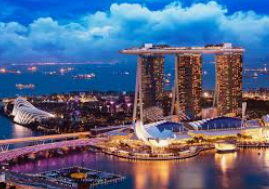 旺财28.ccpc29APP免费版